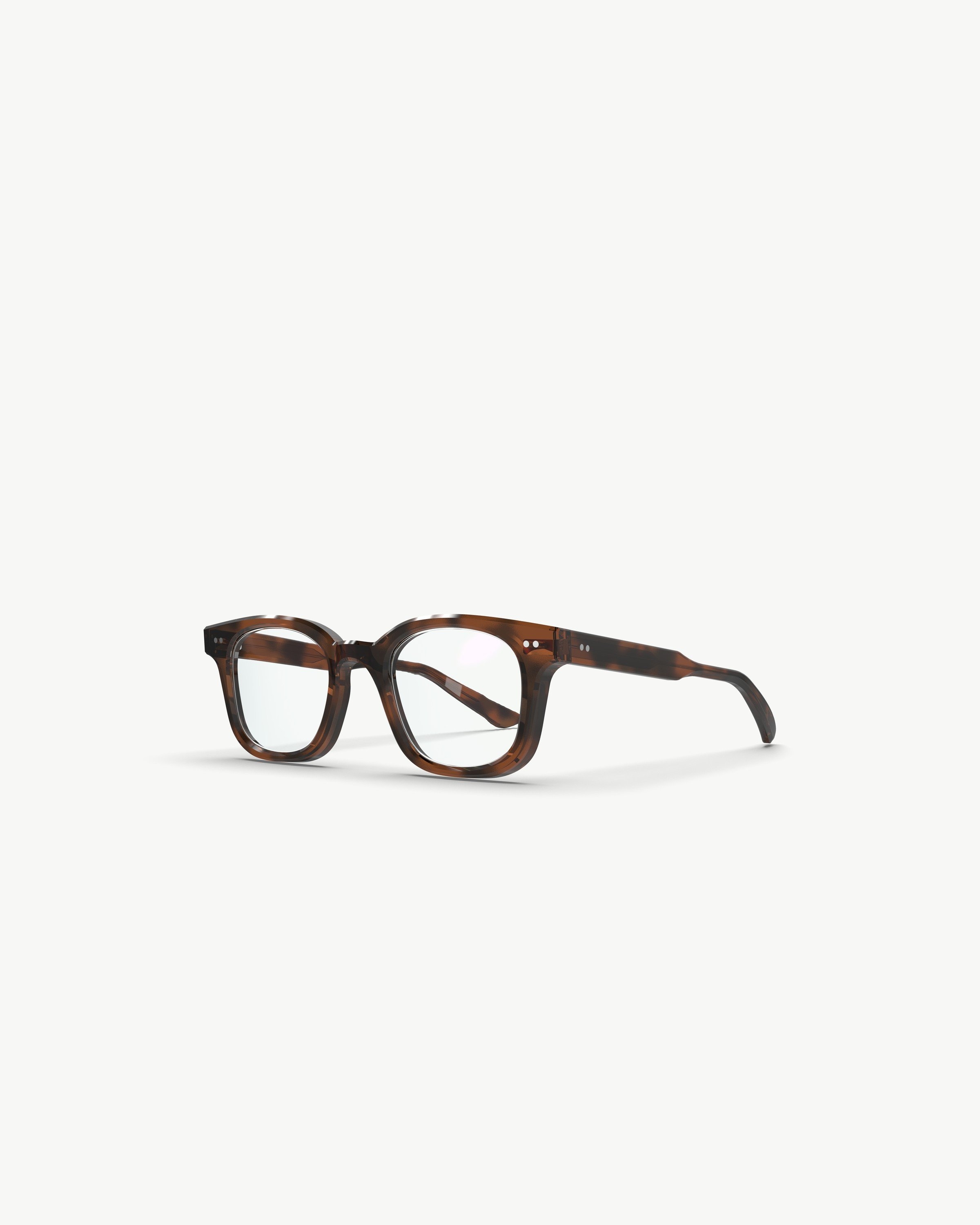 B Tortoise 1