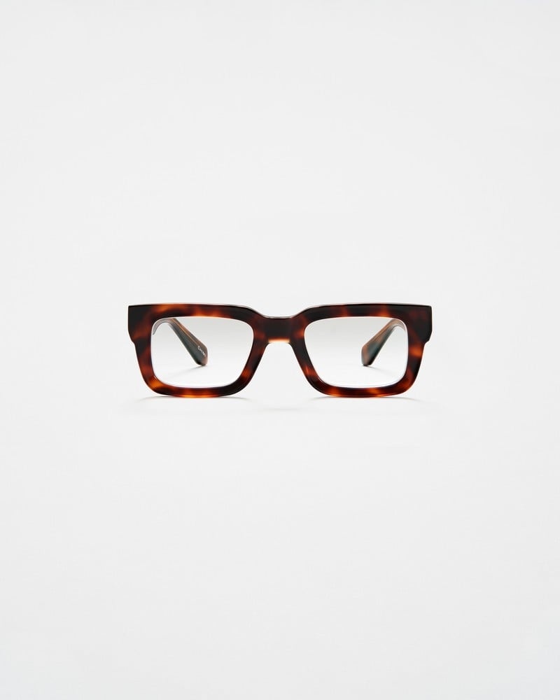 05 Optic Tortoise